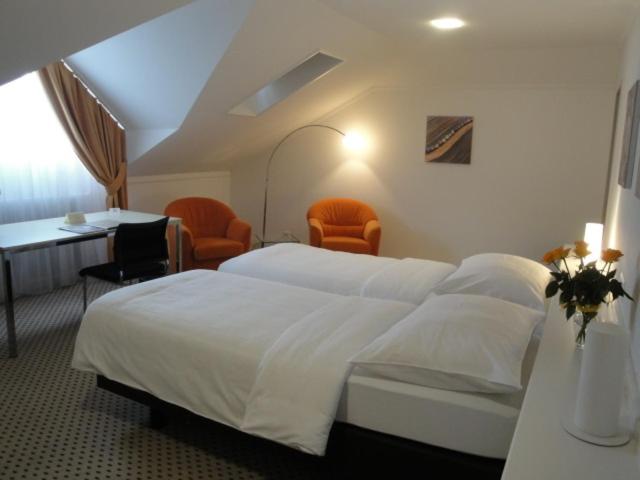 ホテル Schwanen Wil