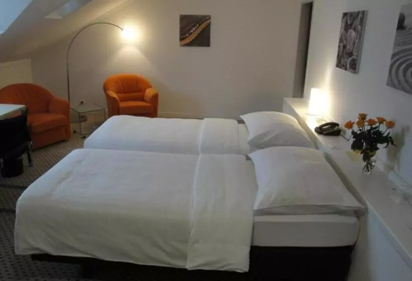 ホテル Schwanen Wil