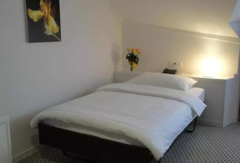 ホテル Schwanen Wil