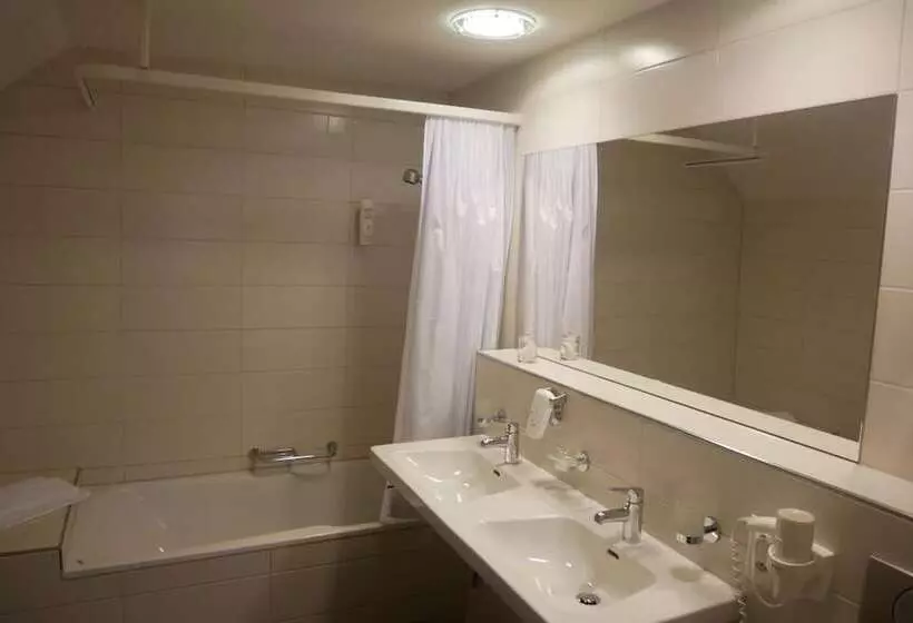 ホテル Schwanen Wil