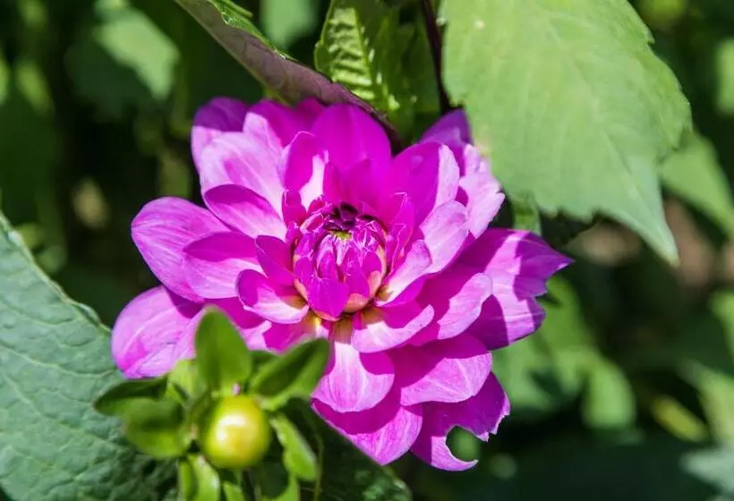 هتل & Spa Cacciatori