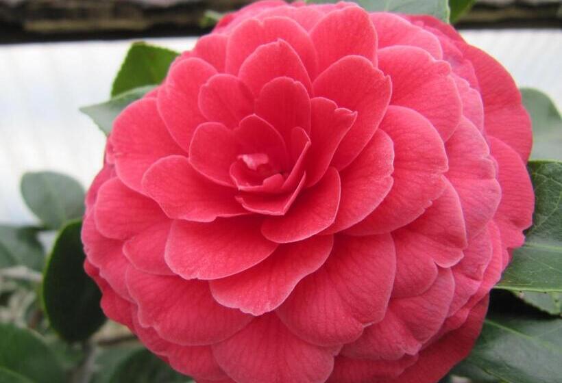 בית מלון כפרי & Spa Cacciatori