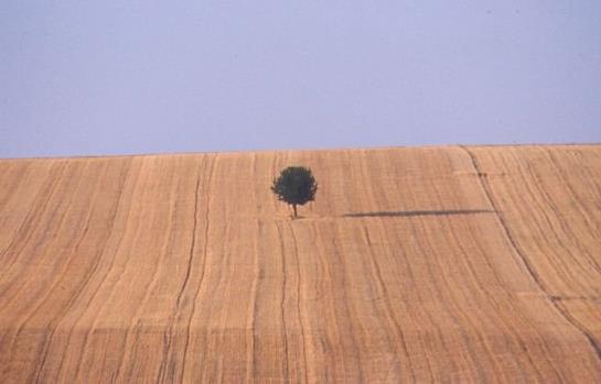 호텔 Zum Brüdertor