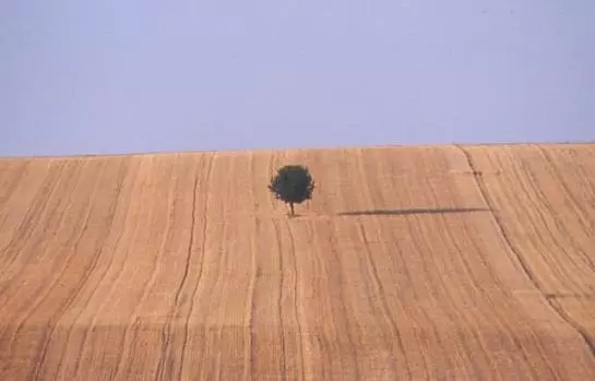 ホテル Zum Brüdertor