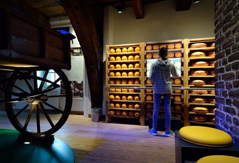 Kings Inn City Hostel