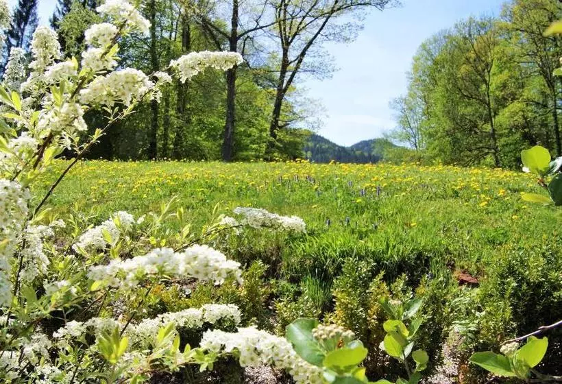Naturhotel Schloss Kassegg