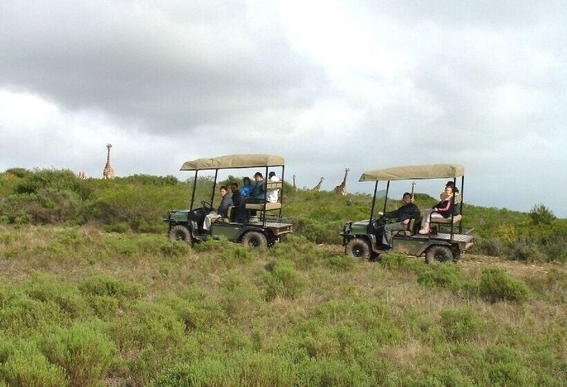 Nyaru Game Lodge