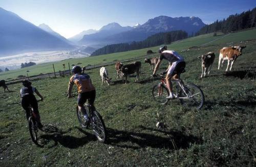 بنسيون Gasthaus Zum Weissen Kreuz