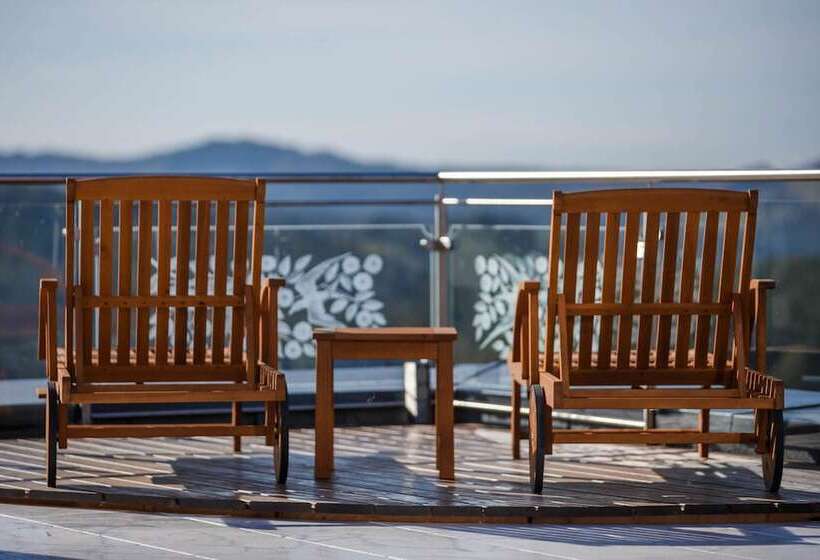 بنسيون Klein Holland