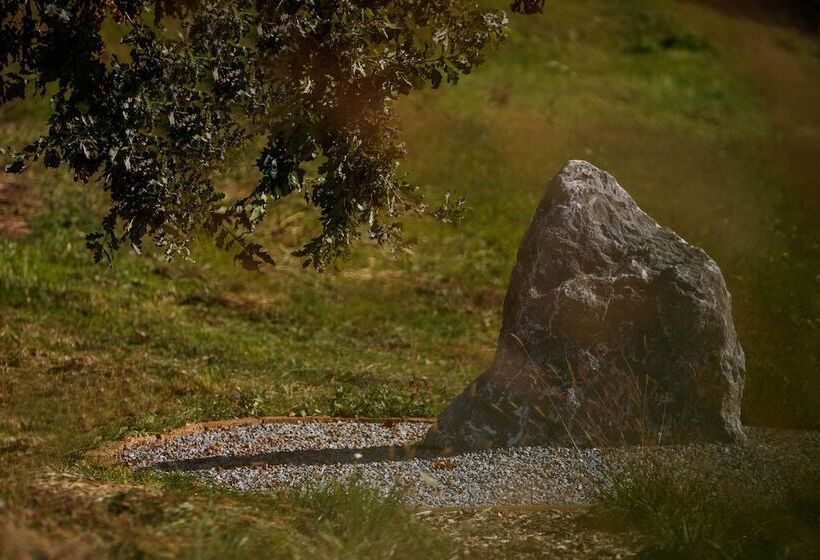 بنسيون Klein Holland