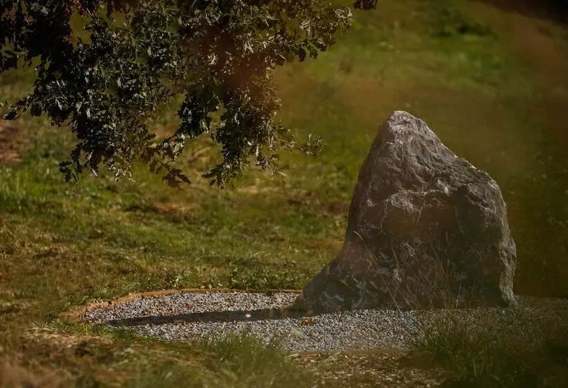 Pensió Klein Holland