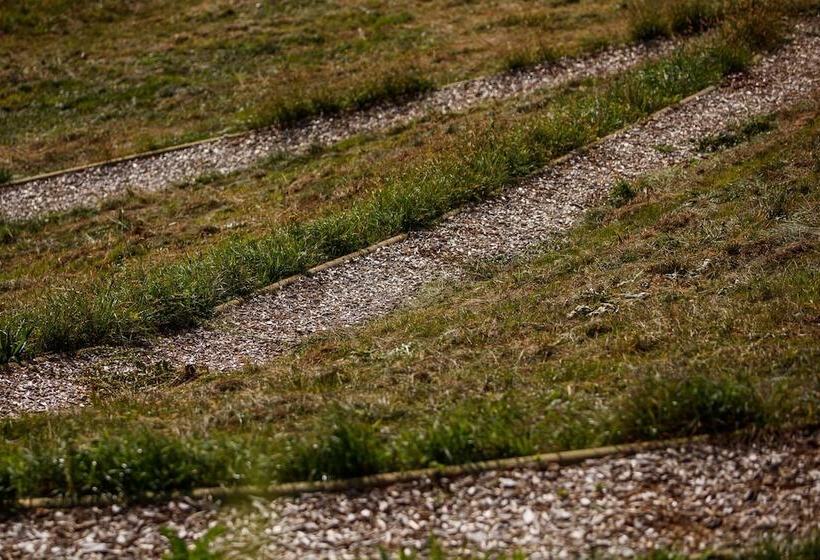 بنسيون Klein Holland