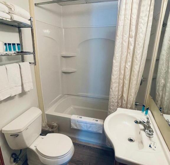 Отель Ships Inn