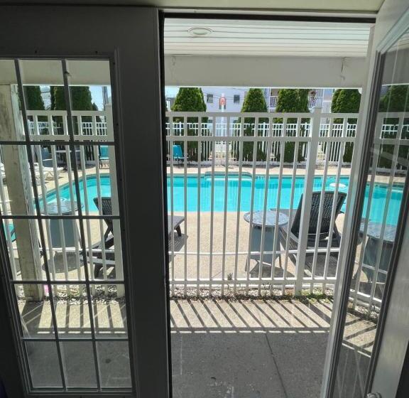 Отель Ships Inn