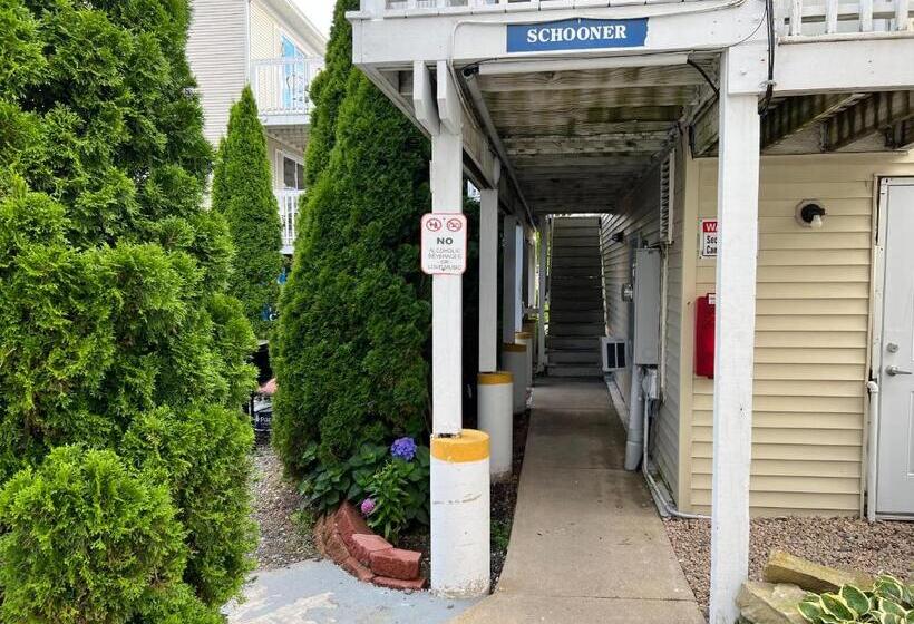 Отель Ships Inn