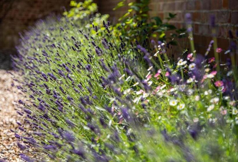12 Prevetts Way   Aldeburgh Coastal Cottages