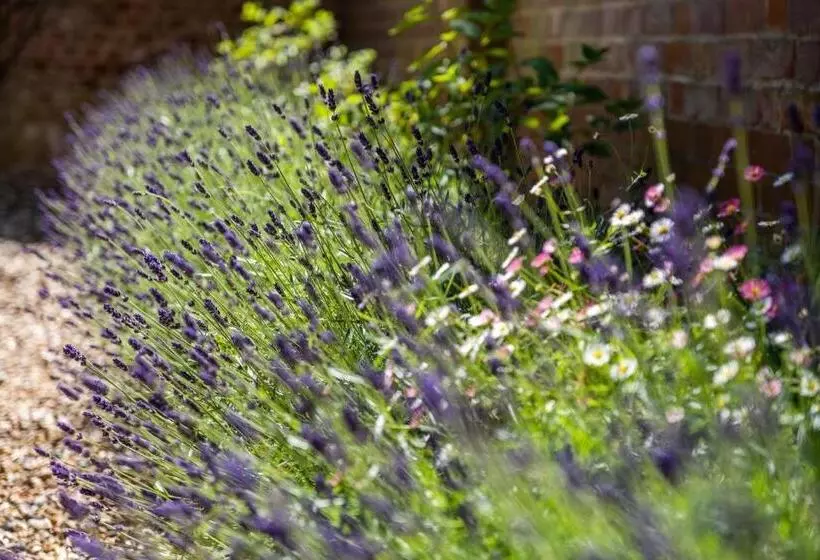 12 Prevetts Way   Aldeburgh Coastal Cottages