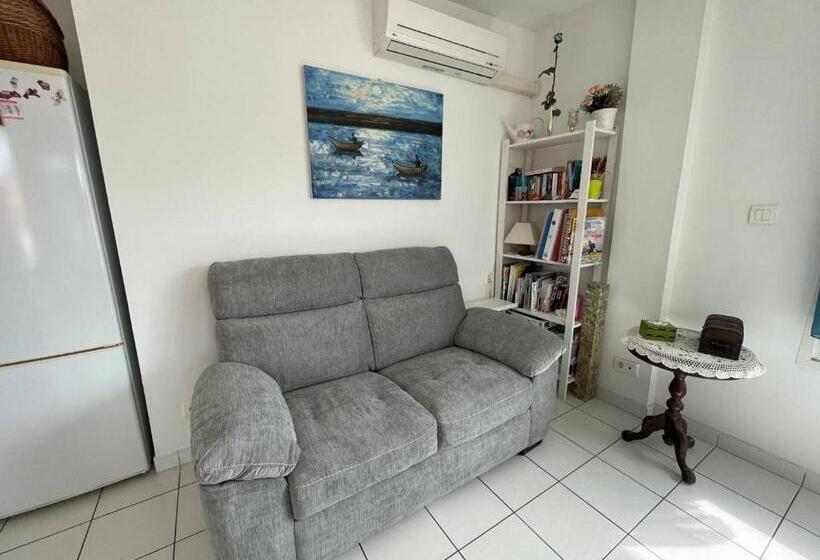 Appartement Climatisé Avec Terrasse à 100m De La Plage, Centre Saint Cyprien, Parking Et équipements