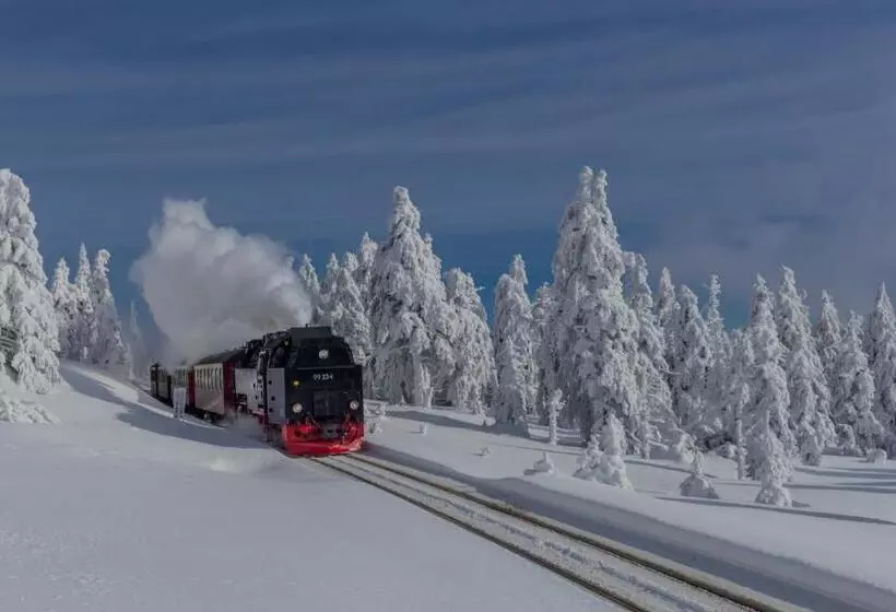 Fewo Schlösschen #innenstadt#garten#ruhige Lage Von Harztraveler