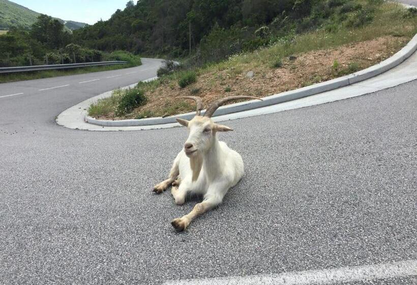 Francesca, Plage à Pied, Terrasse, Clim   Porticcio