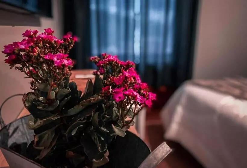 ホテル Tico Pousada