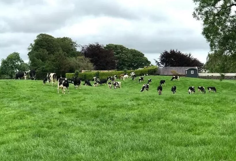 Sheelin Shepherds Hut 2 With Hot Tub