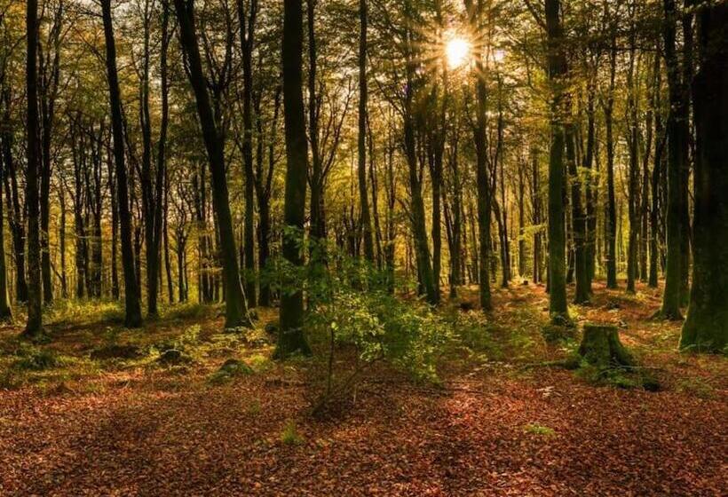 Sheelin Shepherds Hut 2 With Hot Tub