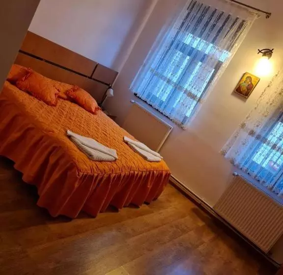 Apartament La Cetate