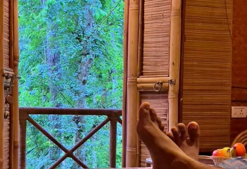 Adrak Mountain Mist Forest Resort