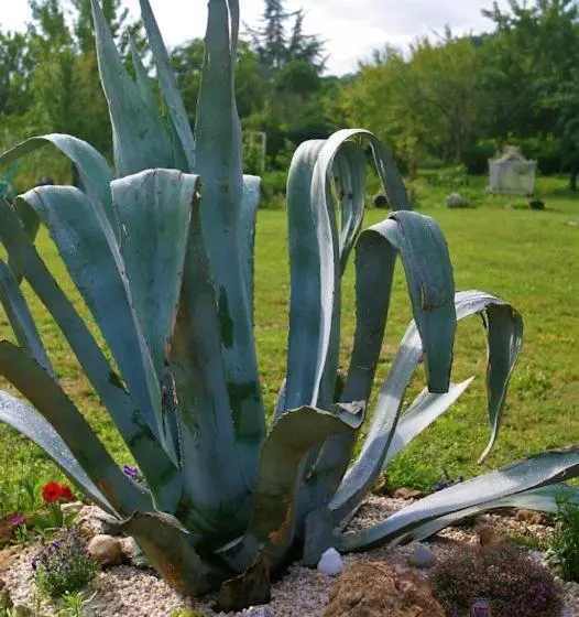 Aamiaismajoitus (B&B) Les Petites Mirabelles