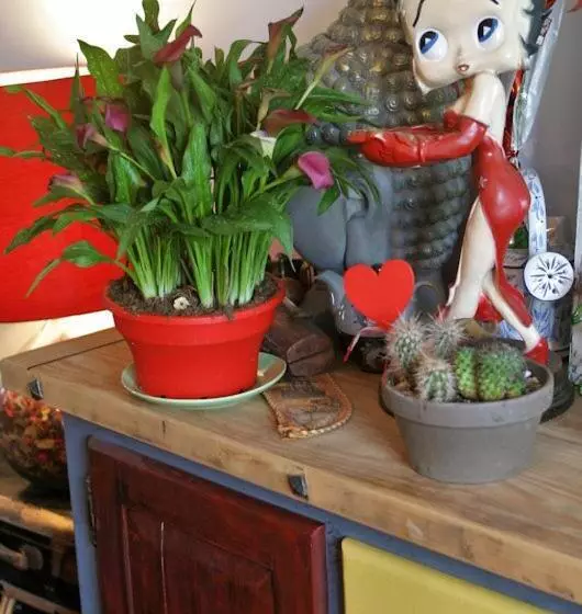 Aamiaismajoitus (B&B) Les Petites Mirabelles