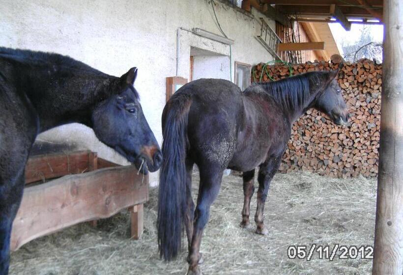 Ferienwohnung Murtal