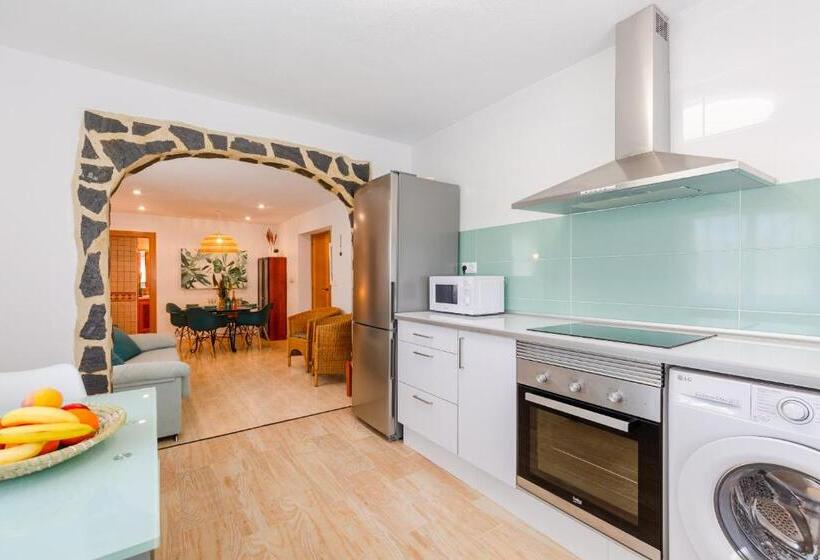 Fidalsa Coastal Soul