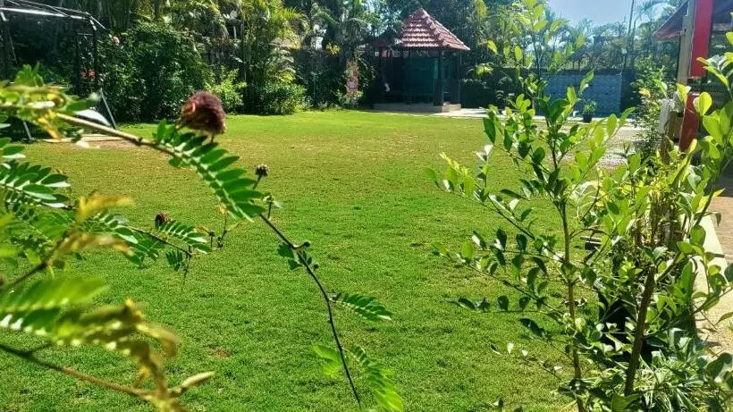 Hôtel Mountview Resort