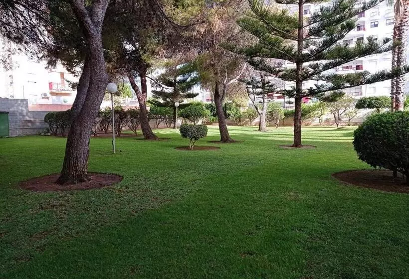 Tres Delfines Solo Familias Serviplaya