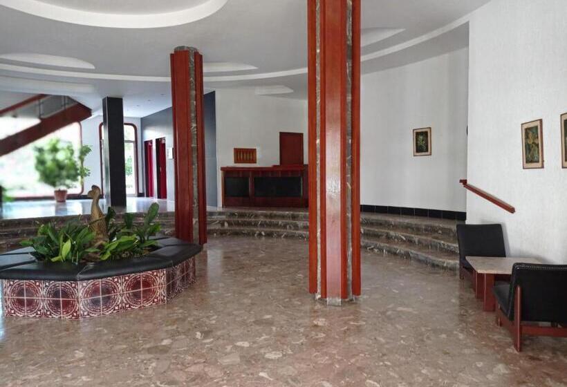 Tres Delfines Solo Familias Serviplaya