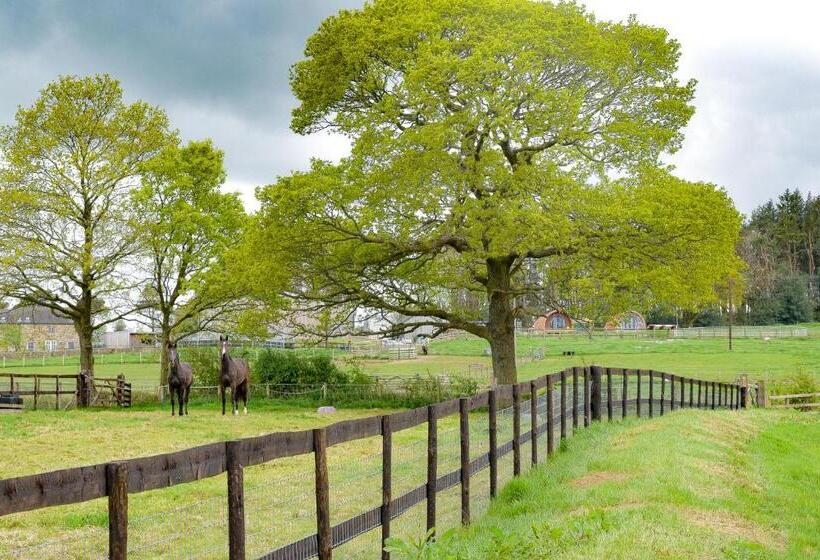Derecroft Glamping Luxury Lodgepods