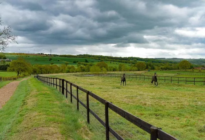 Derecroft Glamping Luxury Lodgepods