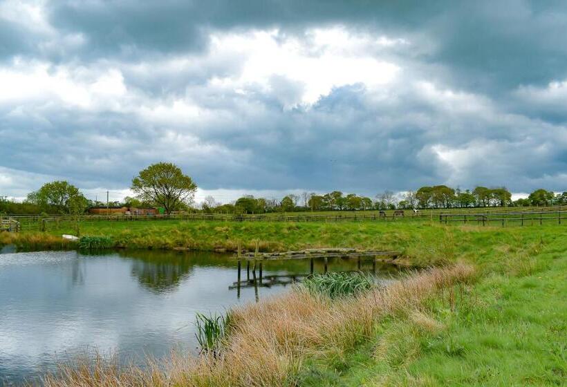 Derecroft Glamping Luxury Lodgepods