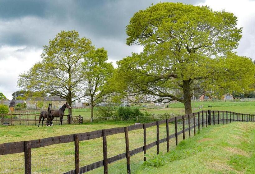 Derecroft Glamping Luxury Lodgepods