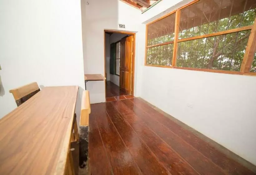 ペンション Casa Serrano   Callejón De Don Blas