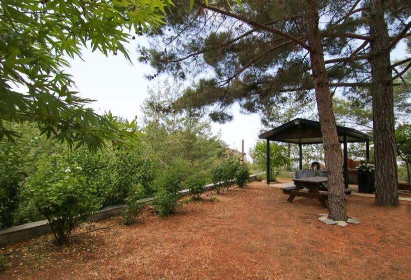 Phaedrus Living: Forest View Luxury Villa Chantara