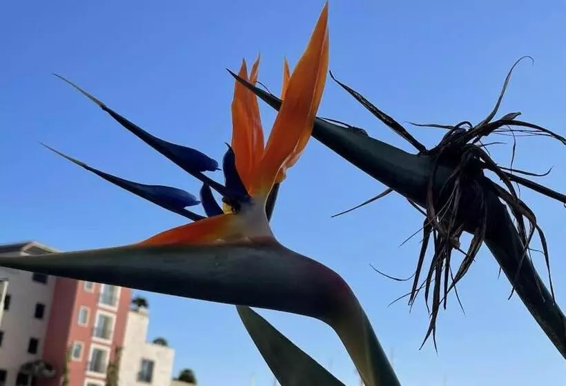 Tivat Luxury Apartment With Beautiful Sea View