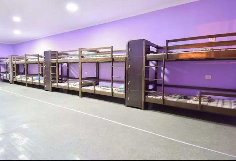 هاستل Citrus Guest House