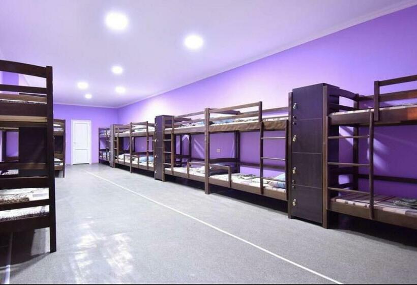 هاستل Citrus Guest House