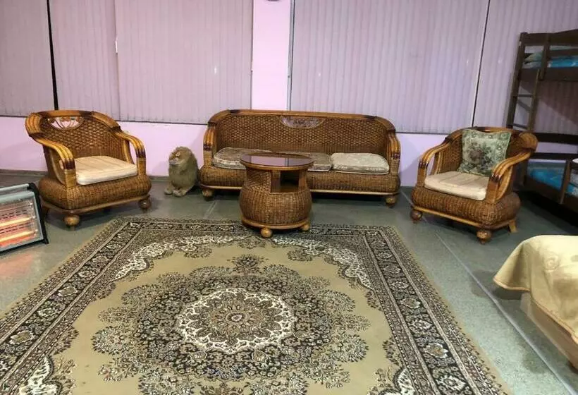 هاستل Citrus Guest House