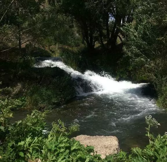 هاستل Citrus Guest House