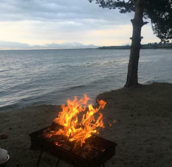 هاستل Citrus Guest House