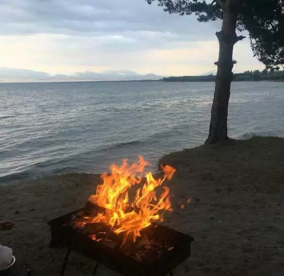 هاستل Citrus Guest House