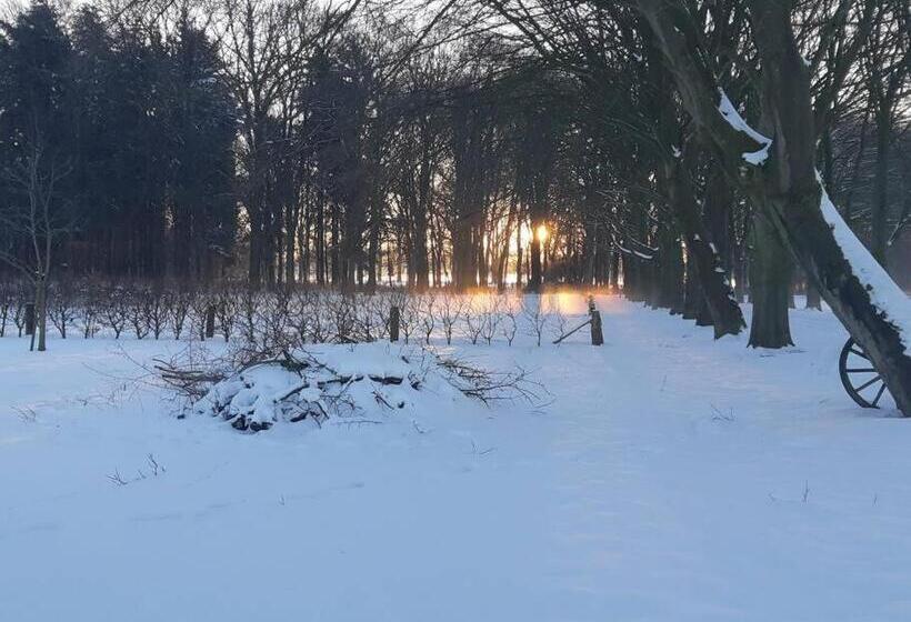 B&b Joostink In Vorden